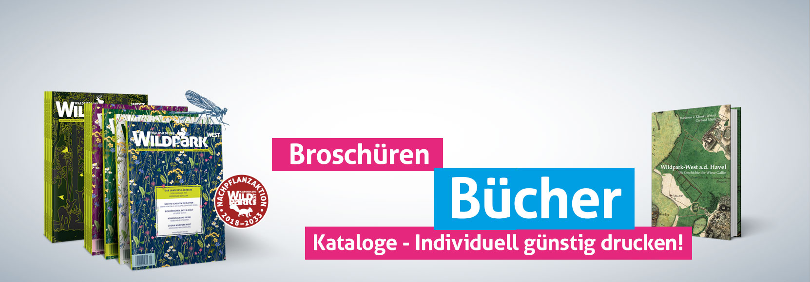 Broschüren, Magazine, Prospekte, Bücher